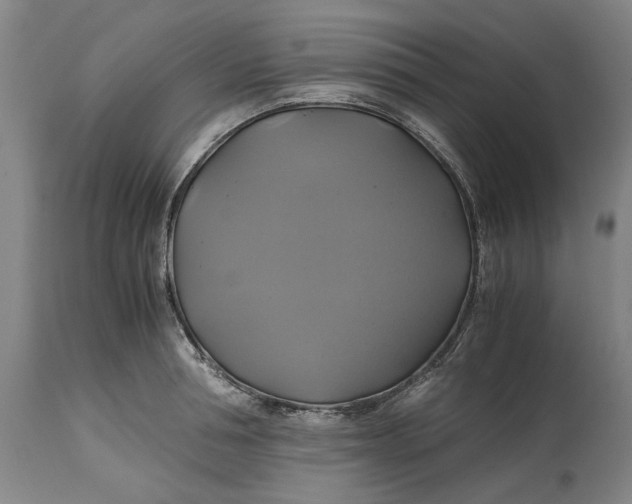 X0000114700994200911121536