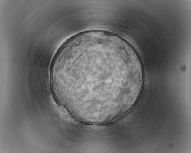 X0000114700996200911121536