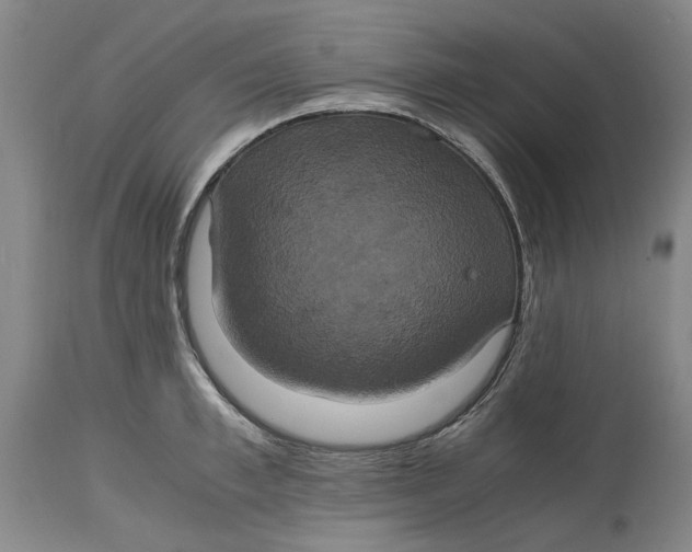 X0000114700997200911121536