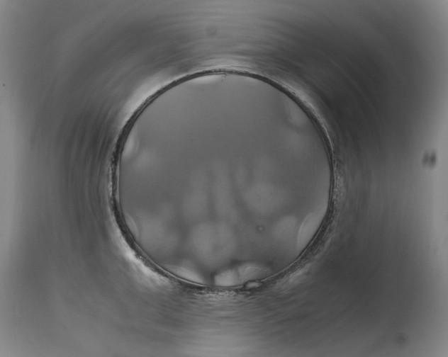 X0000114700999200911121536