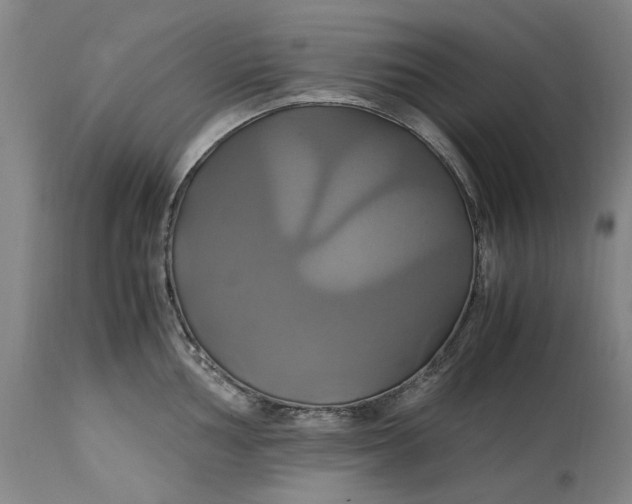 X0000114701002200911121536