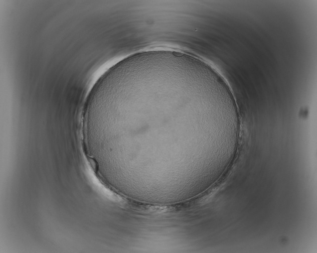 X0000114701003200911121536