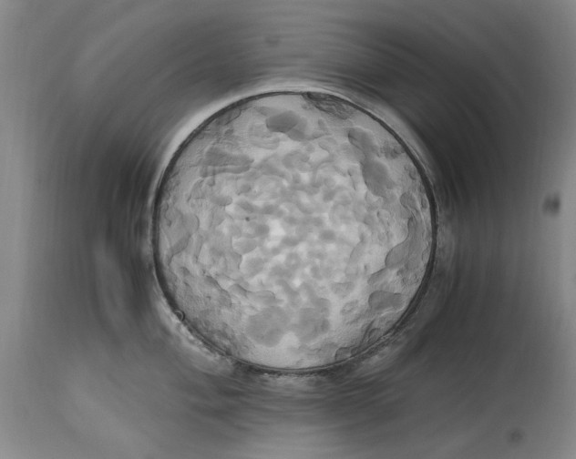 X0000114701004200911121536