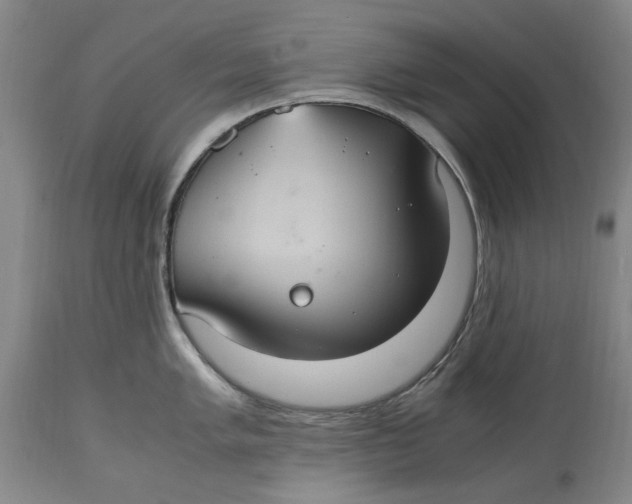 X0000114701005200911121536