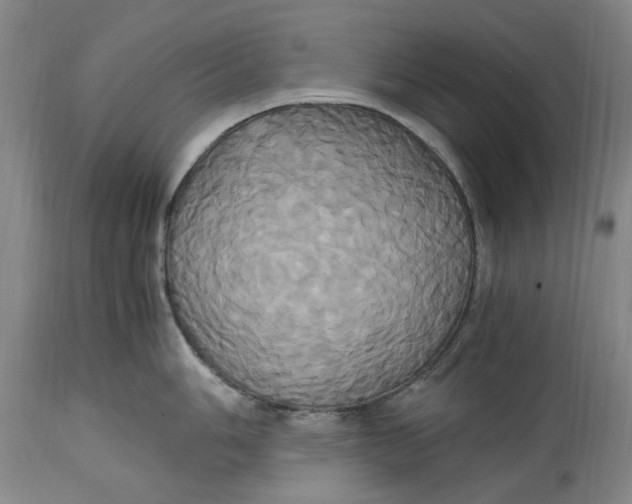 X0000114701006200911121536