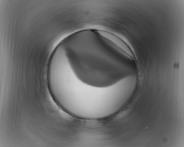 X0000114701007200911121536