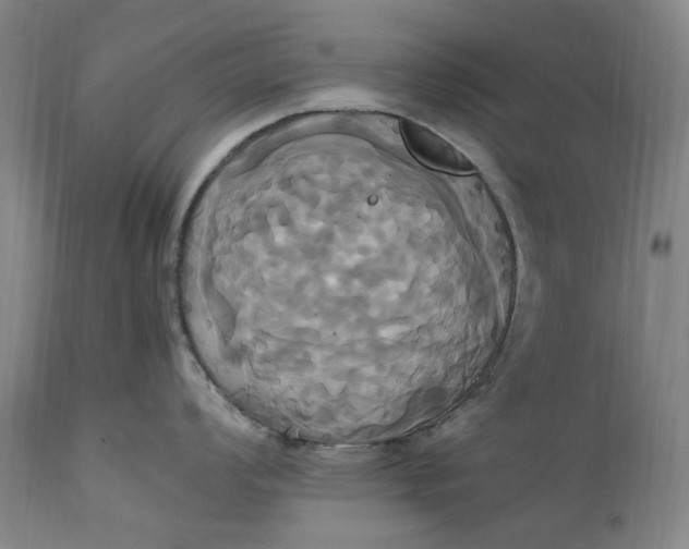 X0000114701008200911121536