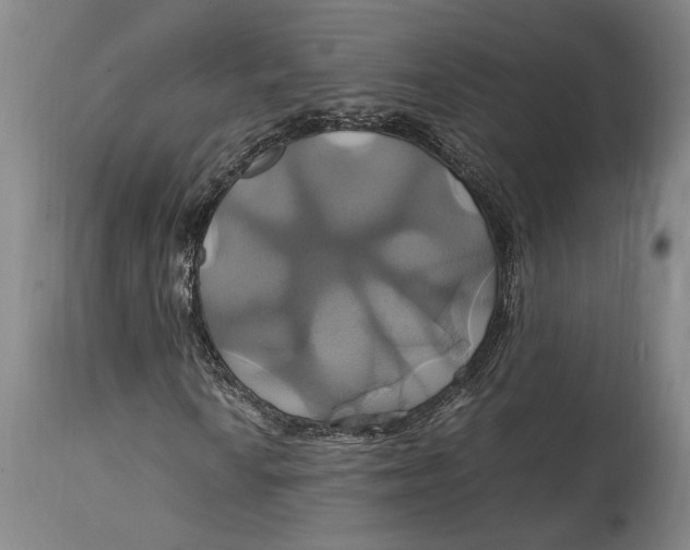 X0000114701010200911121535