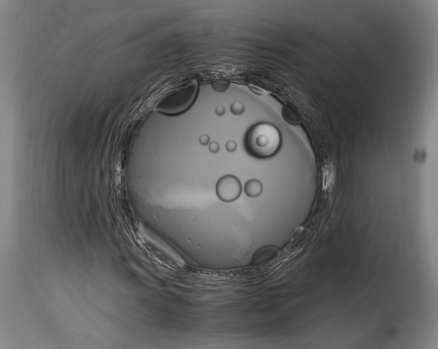 X0000114701011200911121535