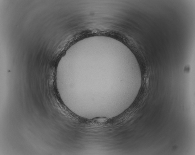 X0000114701012200911121535