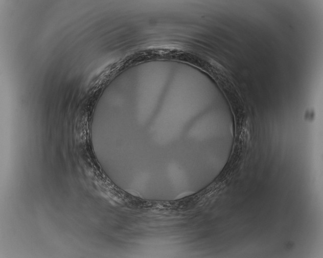 X0000114701014200911121535