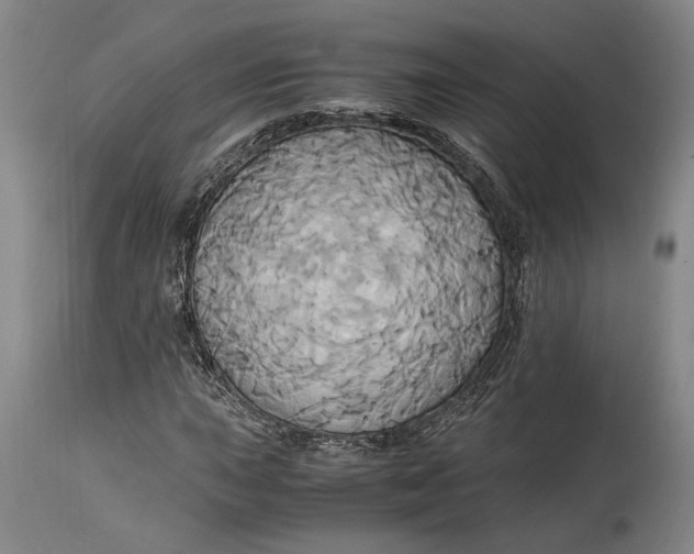 X0000114701015200911121535