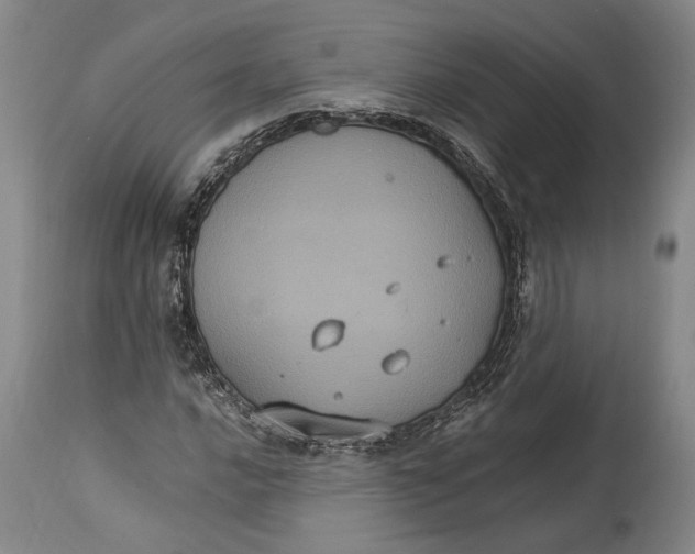 X0000114701016200911121535