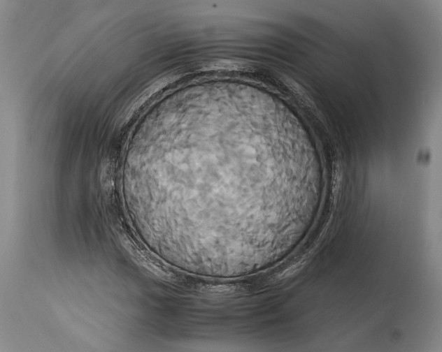 X0000114701017200911121535