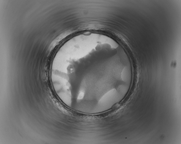 X0000114701018200911121535