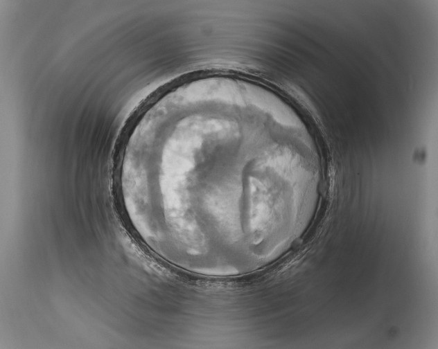 X0000114701020200911121535