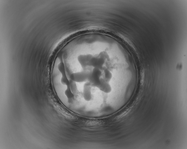 X0000114701021200911121535