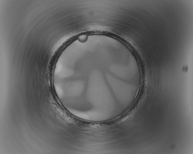 X0000114701022200911121535