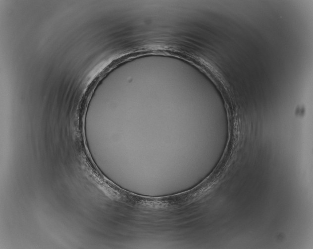 X0000114701023200911121535