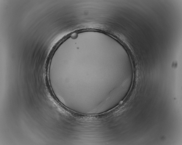 X0000114701024200911121535