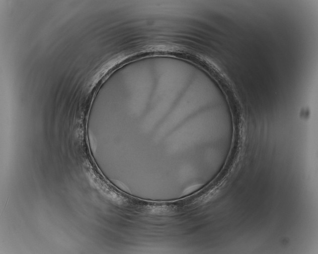 X0000114701025200911121535