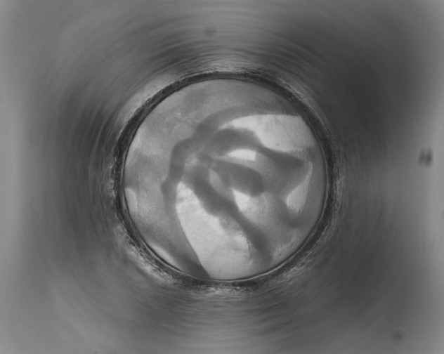 X0000114701026200911121535