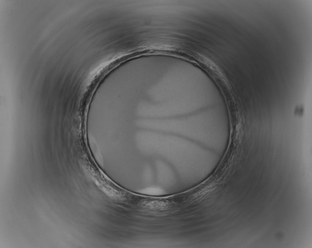 X0000114701027200911121535