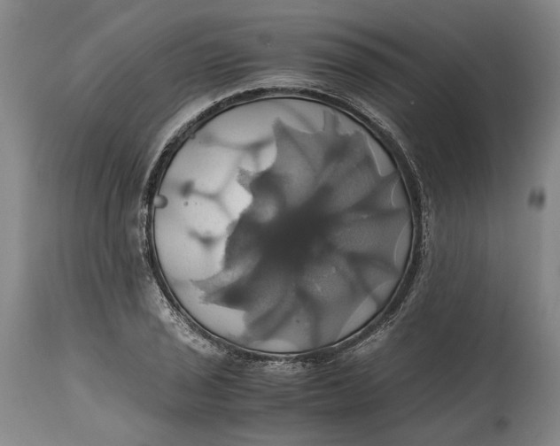 X0000114701029200911121535