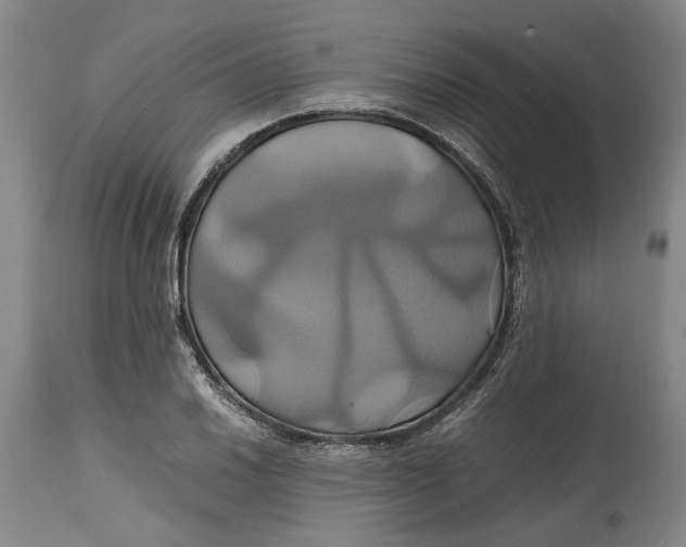 X0000114701030200911121535