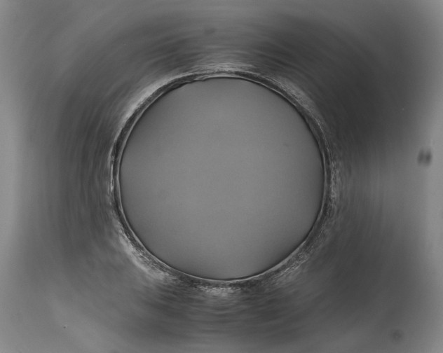 X0000114701031200911121535