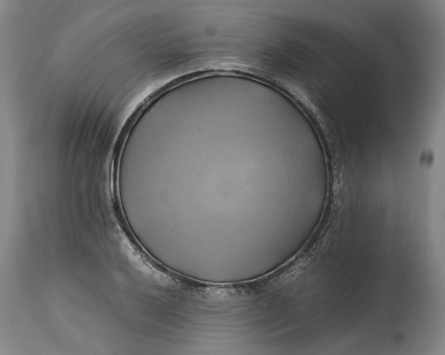 X0000114701032200911121535