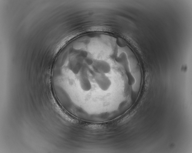 X0000114701033200911121535