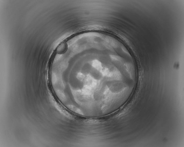 X0000114701034200911121535