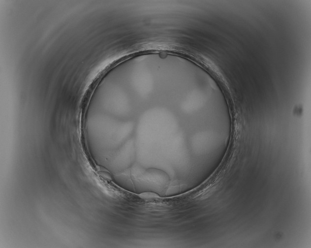 X0000114701035200911121535