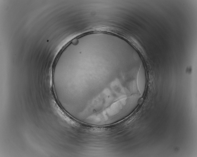 X0000114701036200911121535