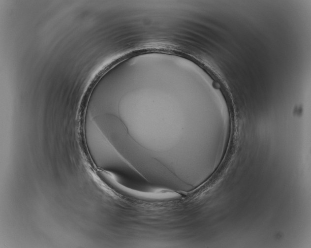 X0000114701037200911121535