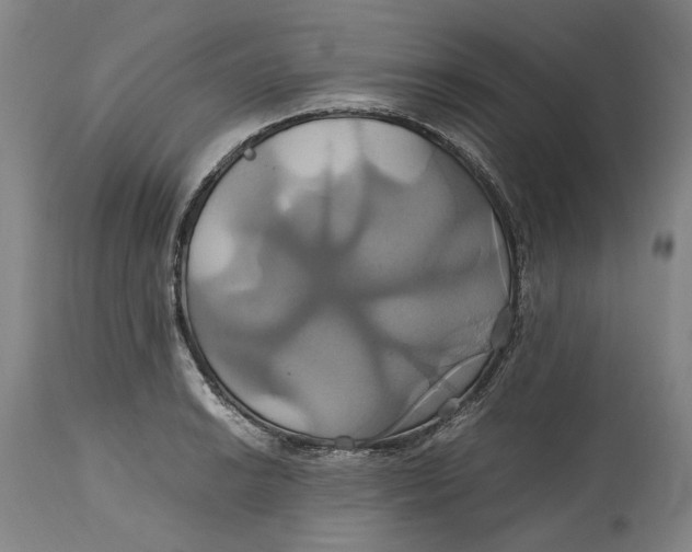 X0000114701038200911121535