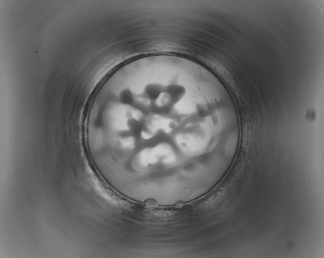 X0000114701039200911121535