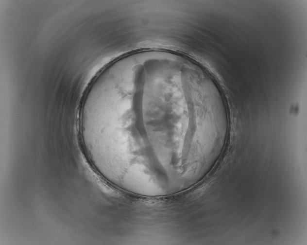 X0000114701040200911121535