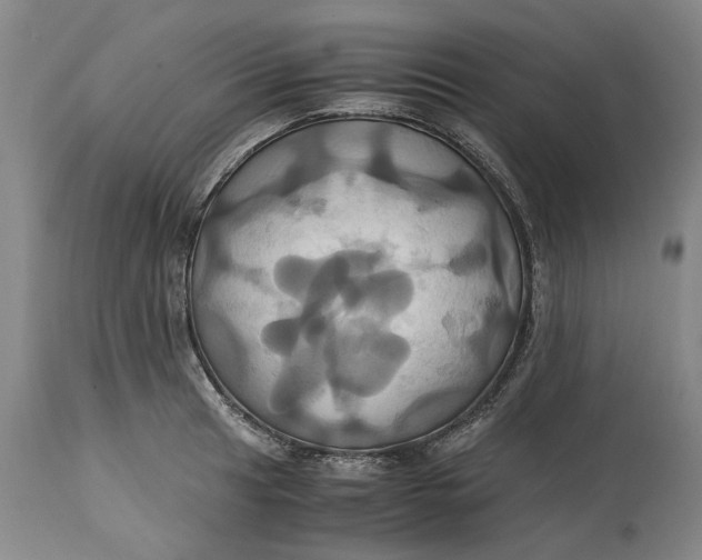 X0000114701041200911121535