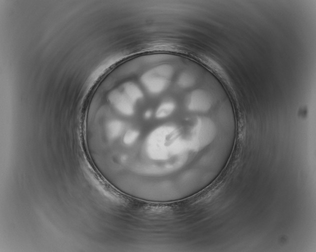 X0000114701043200911121535