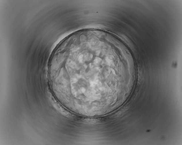 X0000114701044200911121536