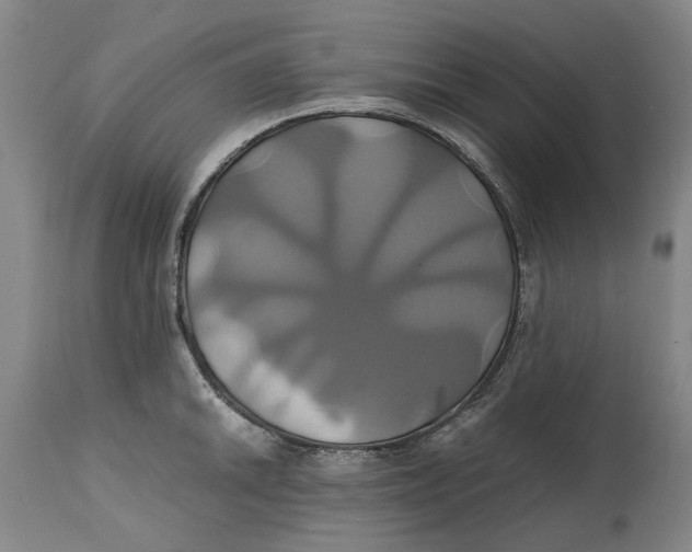 X0000114701046200911121536