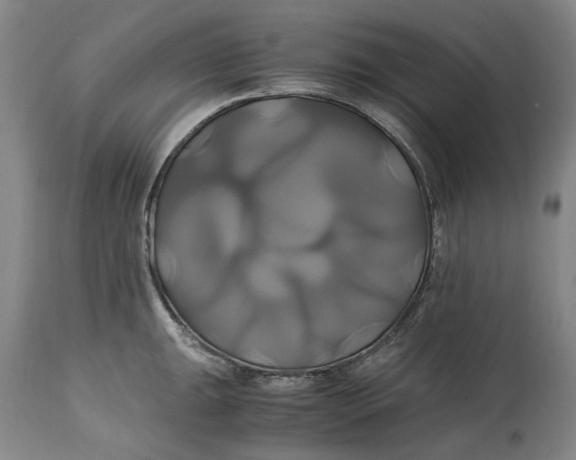 X0000114701047200911121536