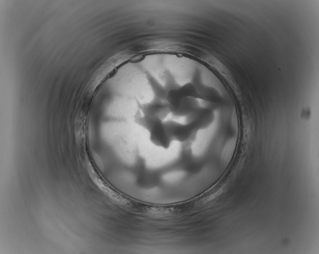 X0000114701049200911121536