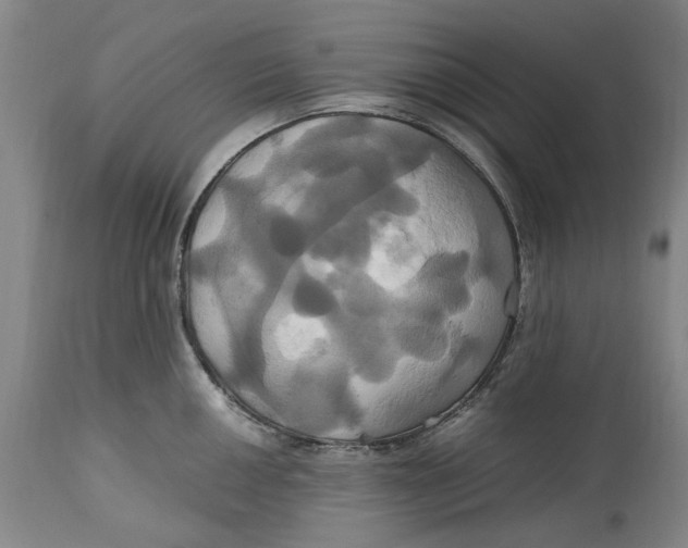 X0000114701050200911121536