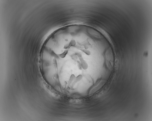 X0000114701051200911121536