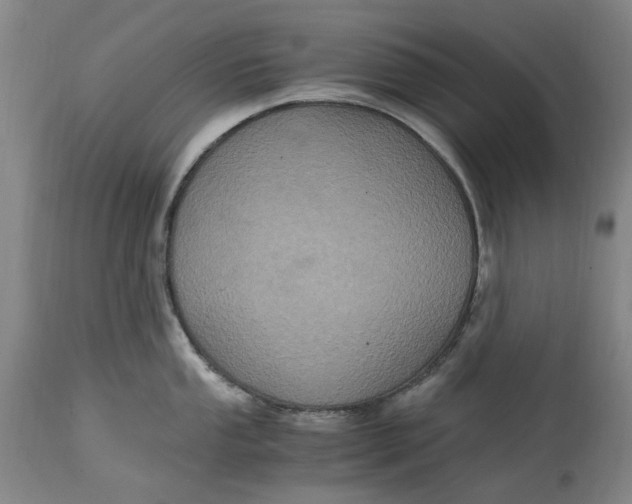 X0000114701053200911121536