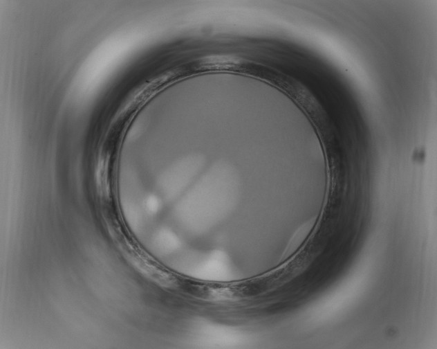 X0000114701054200911121536