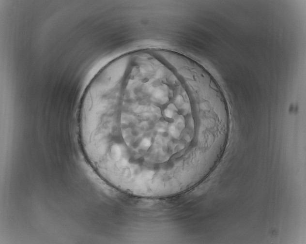 X0000114701056200911121536